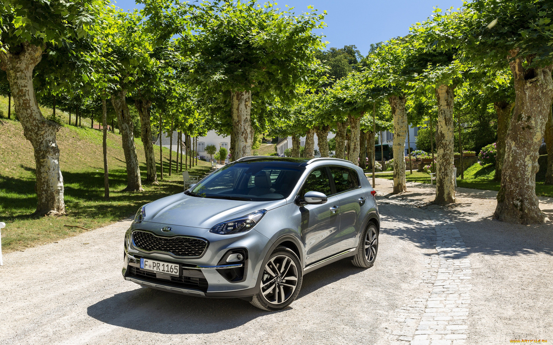 Обои 2019 Kia Sportage Автомобили Kia, обои для рабочего стола, фотографии 2019  kia sportage, автомобили, kia, sportage, киа, кроссовер, корейские, серый,  2019 Обои для рабочего стола, скачать обои картинки заставки на рабочий  стол.